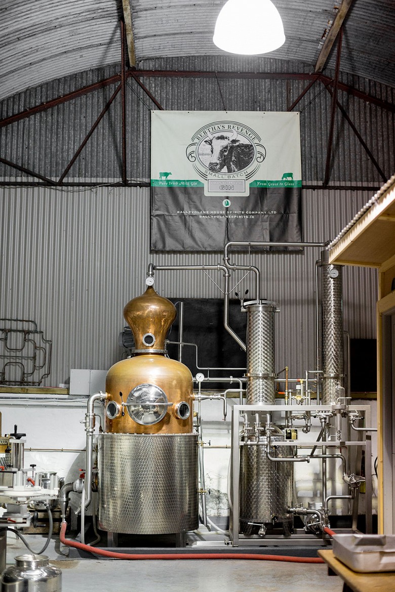 Carl Still, Bertha's Revenge Gin Distillery