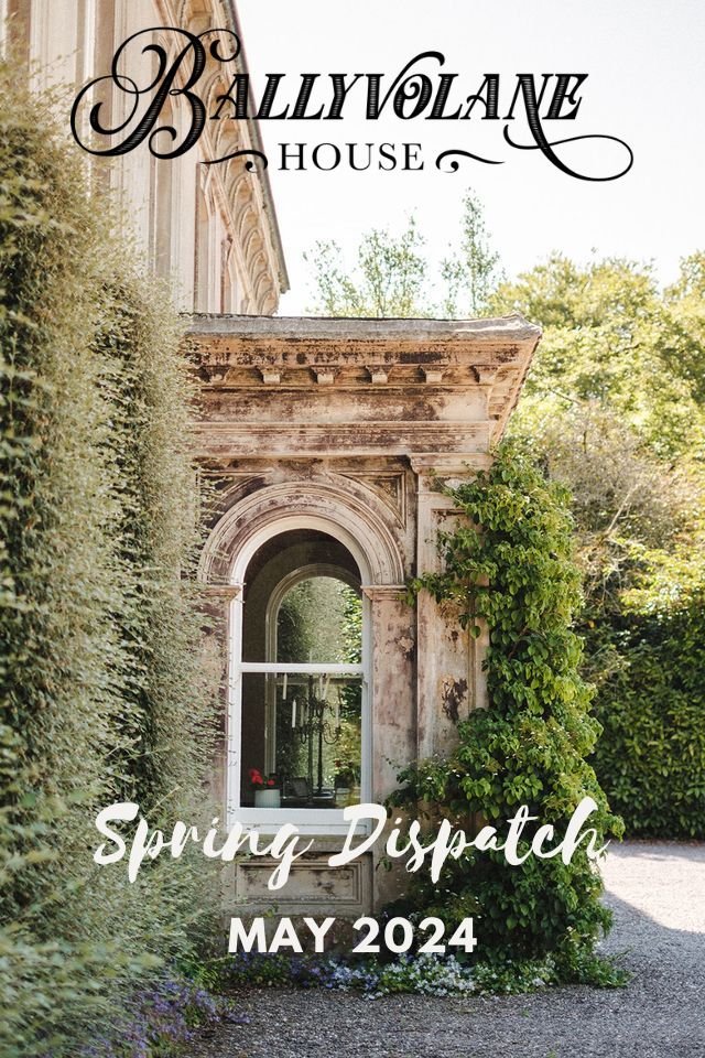 Ballyvolane House Spring Dispatch