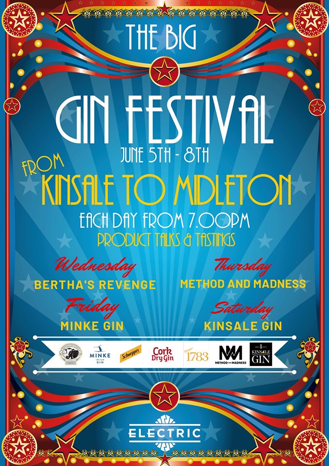 Gin Festival Electric Cork