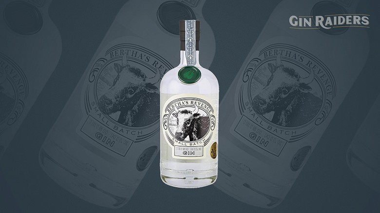 Gin Raiders - The 3 best gins we tasted in July