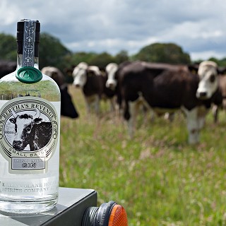 Bertha's Revenge Gin