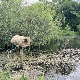 Biodiversity Week Ireland 2023 at Ballyvolane House