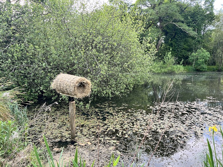 Biodiversity Week Ireland 2023 at Ballyvolane House
