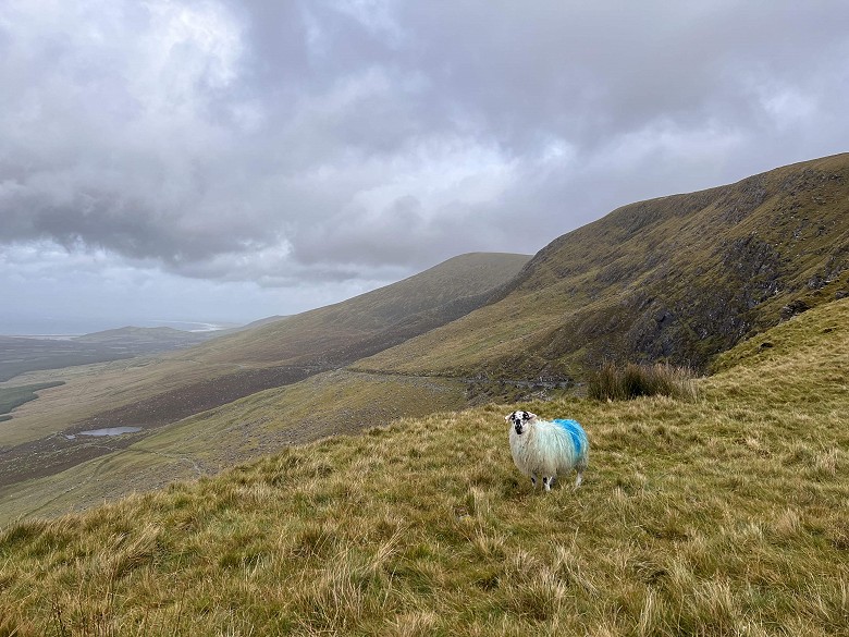 Dingle Peninsula