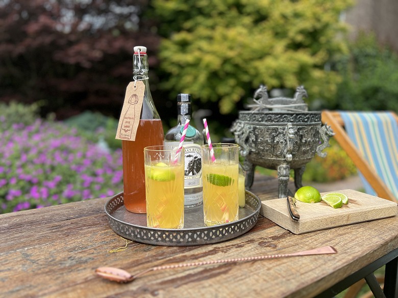 Bertha's Revenge Gin Rhubarb Mule