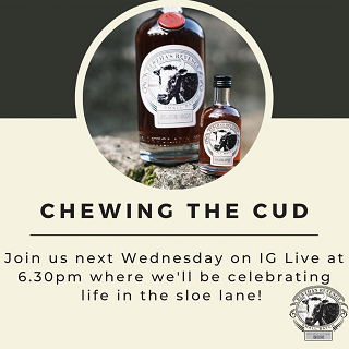 Bertha's Revenge Gin Chewing The Cud IG Live