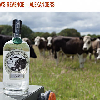 World Itineraries 'Cheers to World Gin Day'