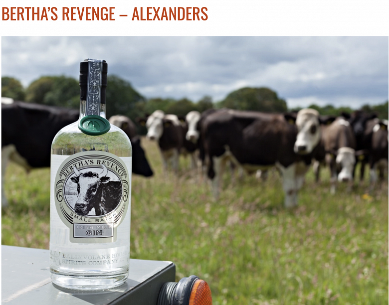 World Itineraries 'Cheers to World Gin Day'